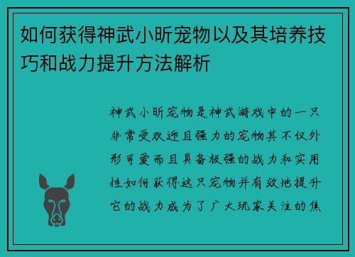 如何获得神武小昕宠物以及其培养技巧和战力提升方法解析 如何获得神武小昕宠物以及其培养技巧和战力提升方法解析